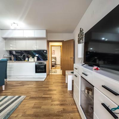 Studio Lux Zermat Sokobanja Smestaj Sl 01