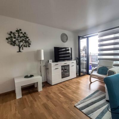 Studio Lux Zermat Sokobanja Smestaj Sl 13