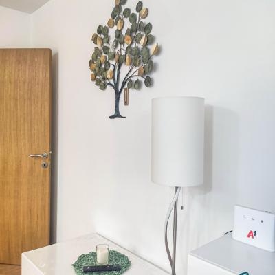 Studio Lux Zermat Sokobanja Smestaj Sl 20